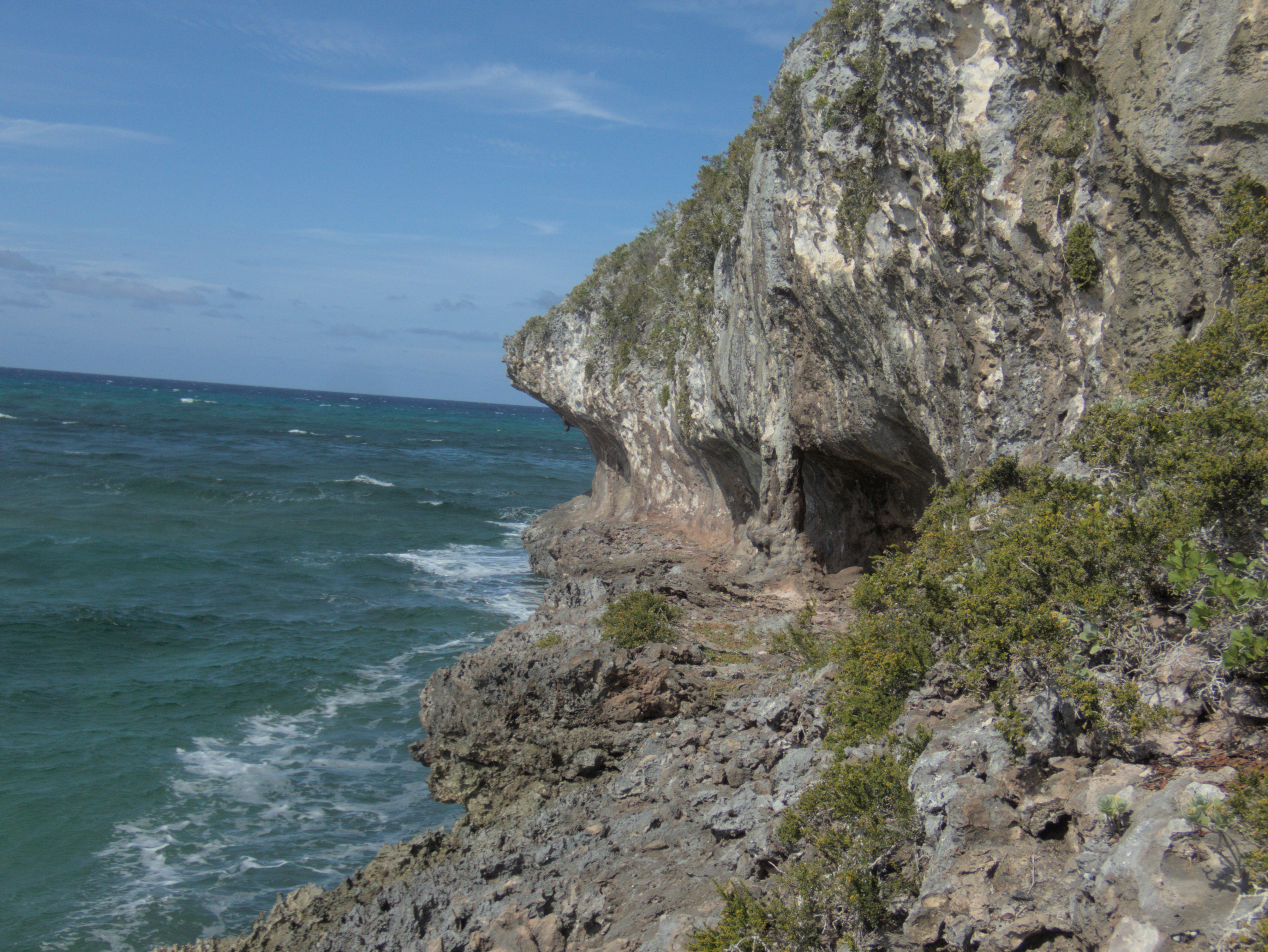 Coastal carbonate cliffs