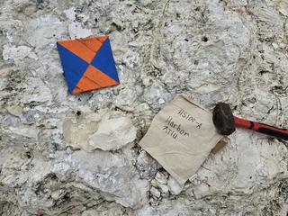 HS104A fossilized coral specimen photo