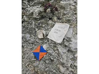 HS104D fossilized coral specimen photo