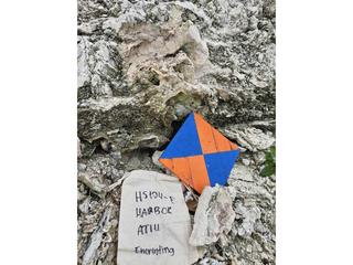 HS104E fossilized coral specimen photo