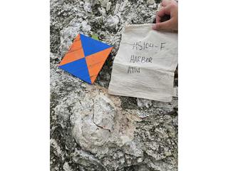 HS104F fossilized coral specimen photo
