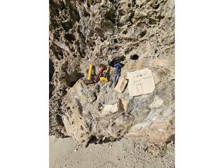 HS106A fossilized coral specimen photo
