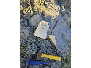 HS107C fossilized coral specimen photo