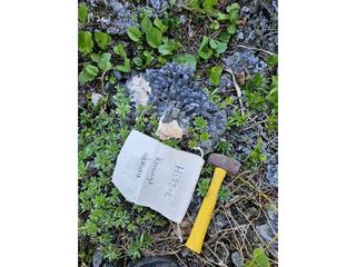HS112C fossilized coral specimen photo