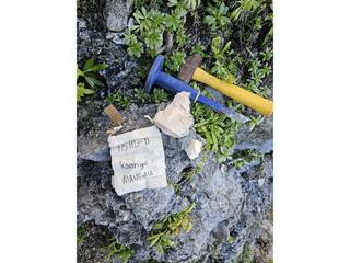 HS112D fossilized coral specimen photo