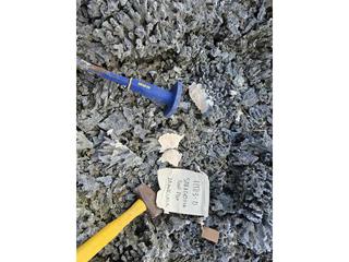HS113D fossilized coral specimen photo