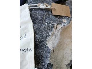 HS113J fossilized coral specimen photo
