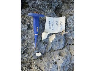 HS118C fossilized coral specimen photo