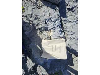 HS122B fossilized coral specimen photo