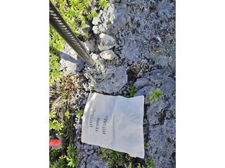 HS122C fossilized coral specimen photo