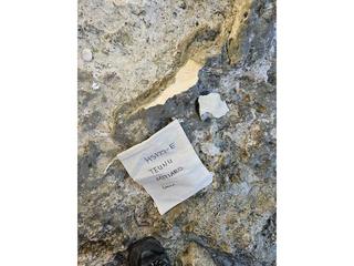 HS122E fossilized coral specimen photo