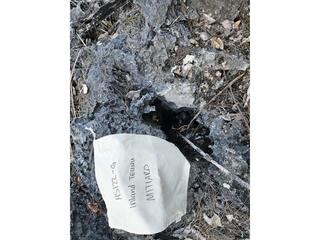 HS122G fossilized coral specimen photo
