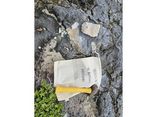 HS123B fossilized coral specimen photo