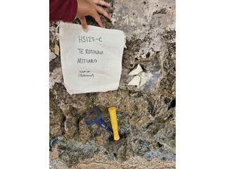 HS123C fossilized coral specimen photo