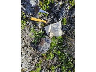 HS125B fossilized coral specimen photo
