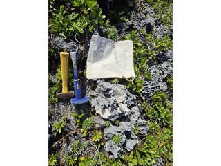 HS125D fossilized coral specimen photo