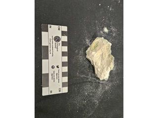 HS102D fossilized coral specimen photo