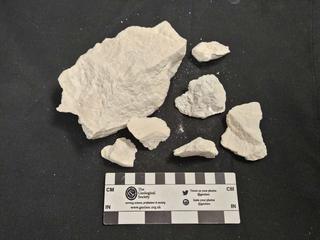 HS104A fossilized coral specimen photo