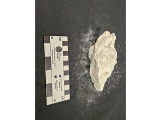 HS104E fossilized coral specimen photo