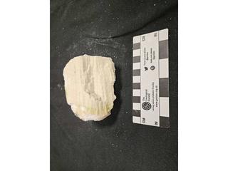 HS107D fossilized coral specimen photo