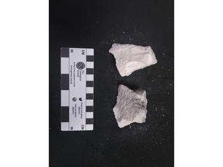 HS115B fossilized coral specimen photo