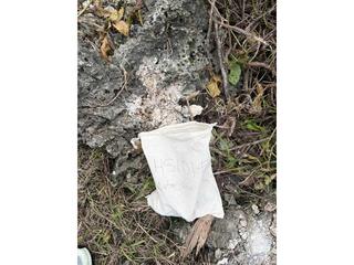 HS101F fossilized coral specimen photo