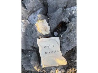 HS107D fossilized coral specimen photo