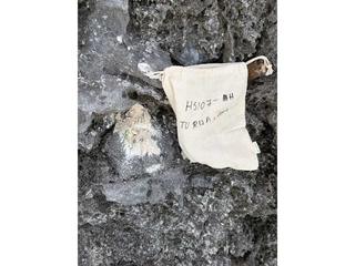 HS107H fossilized coral specimen photo