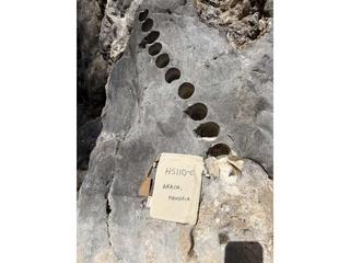 HS110C fossilized coral specimen photo