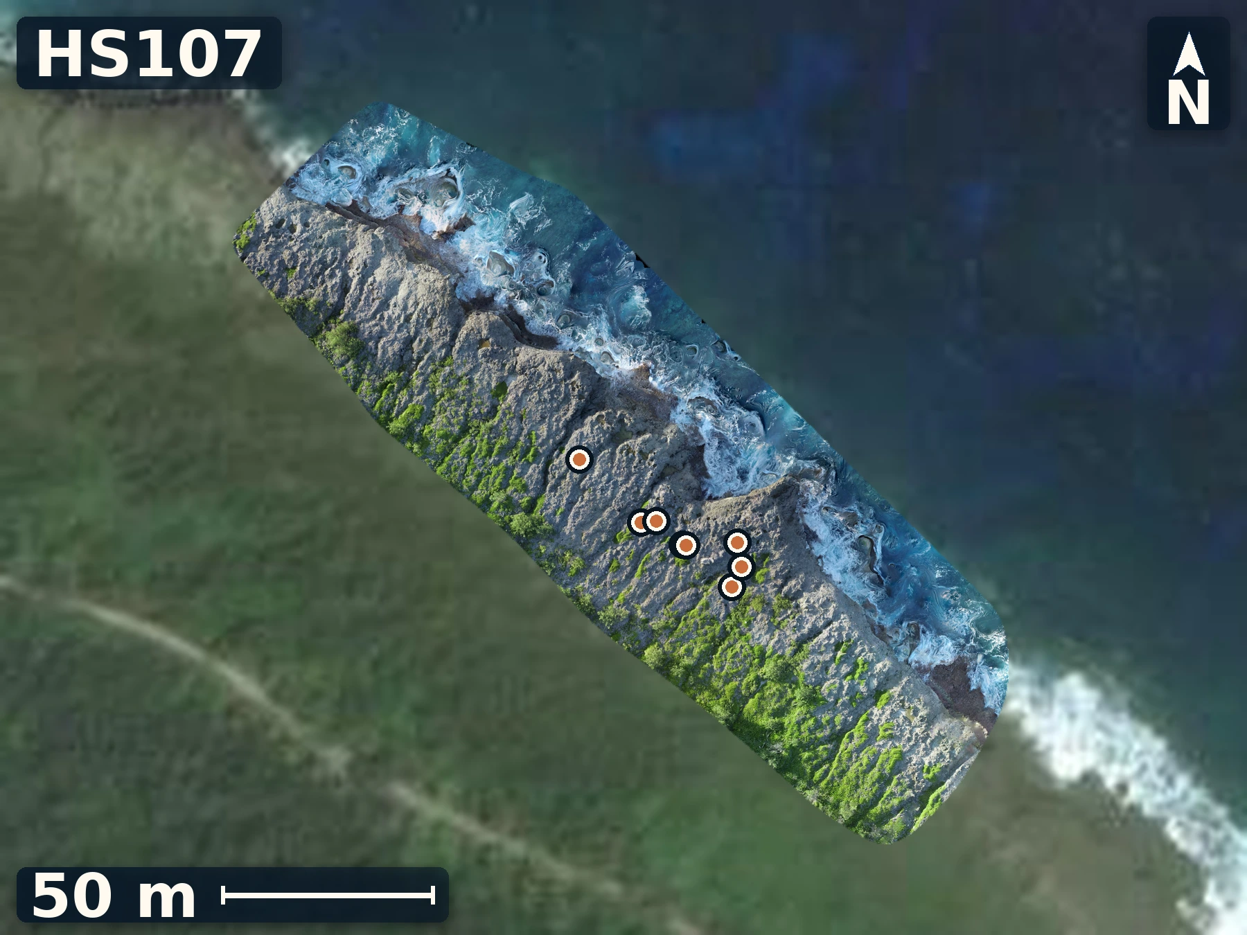 Drone orthomosaic map of HS107 on Atiu, 8 sample GPS record positions.