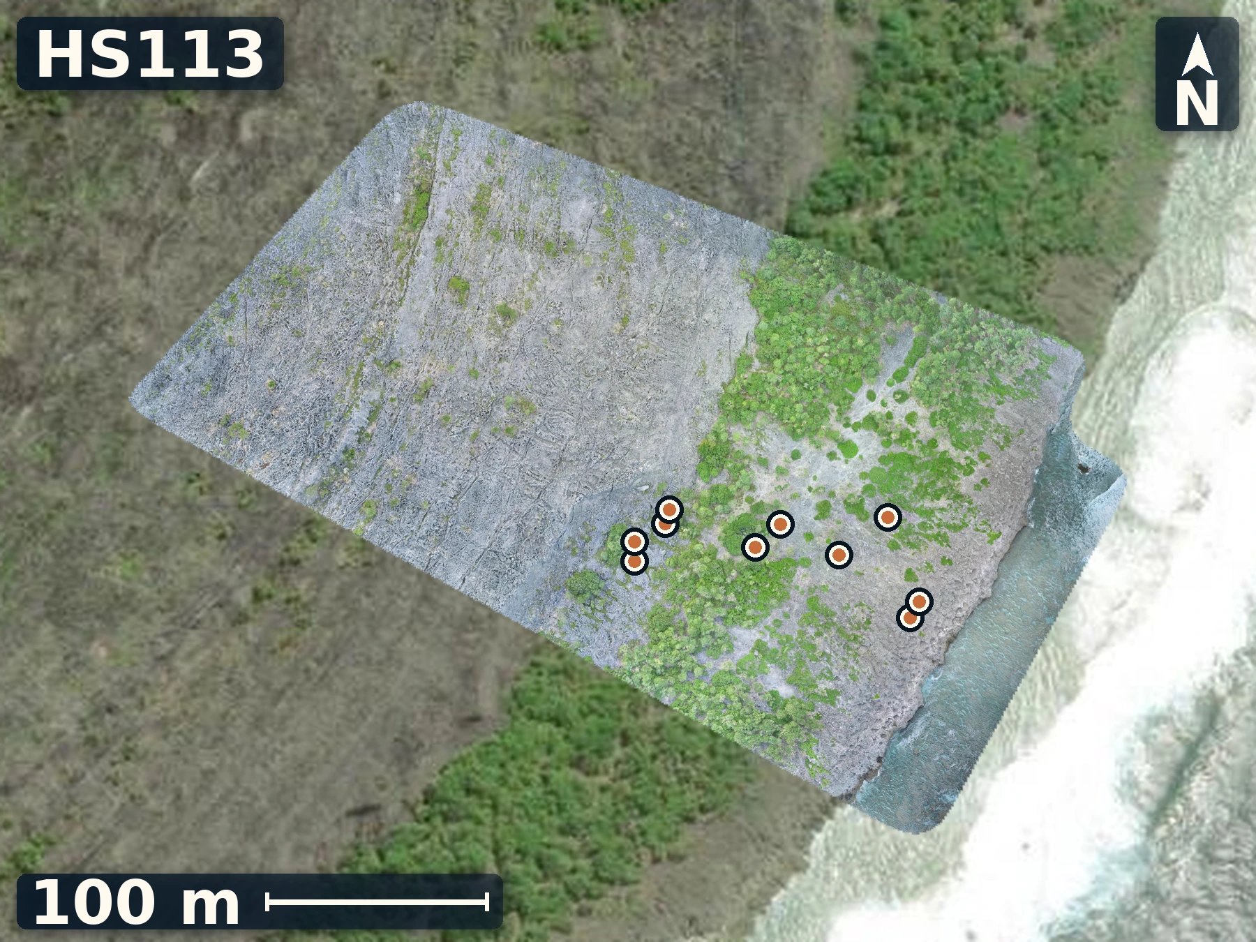 Drone orthomosaic map of HS113 on Mangaia, 10 sample GPS record positions.