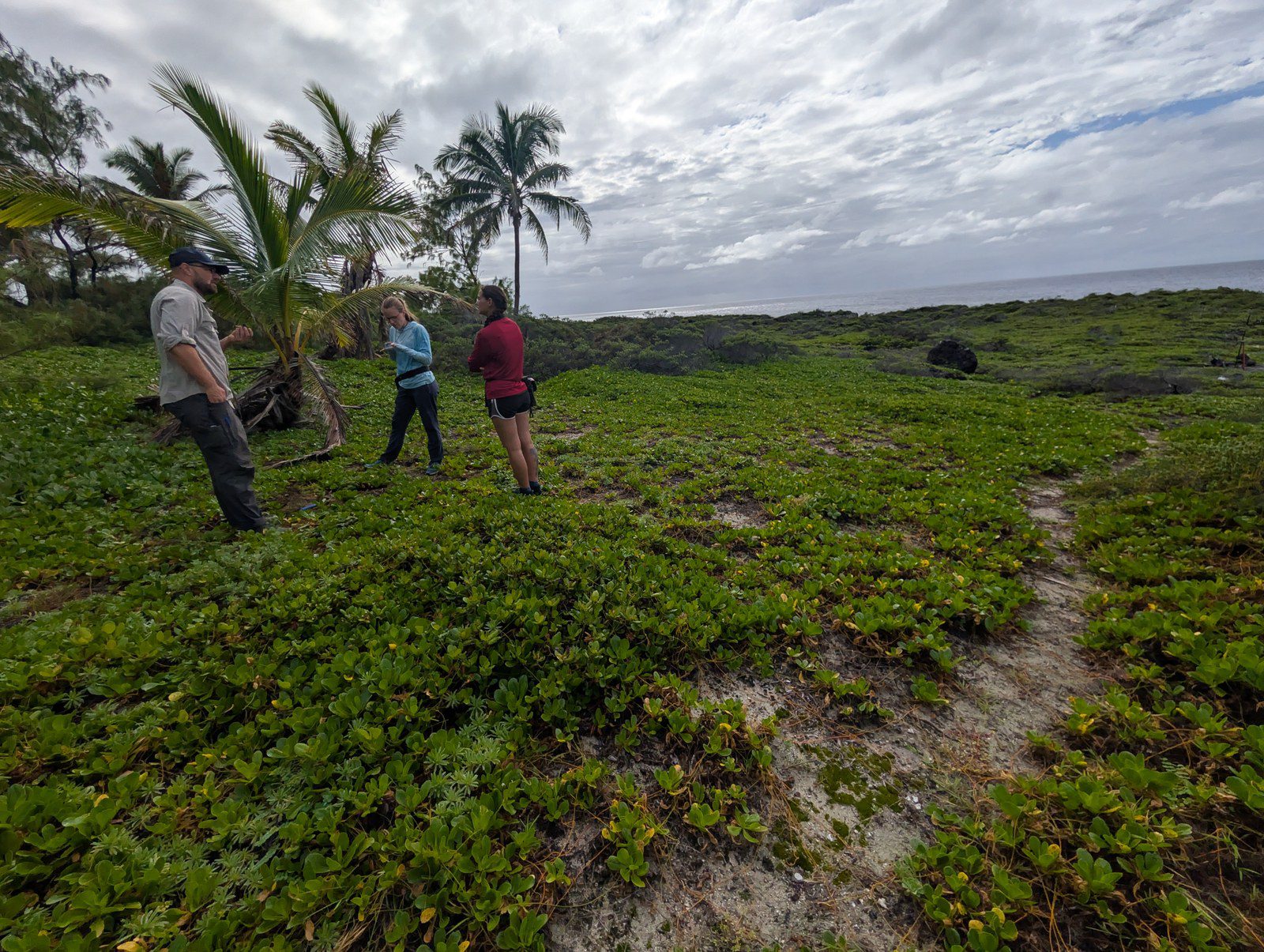 Three HISEAS field team members examine a low coastal landscape of vegetation and exposed reef limestone beside the ocean.