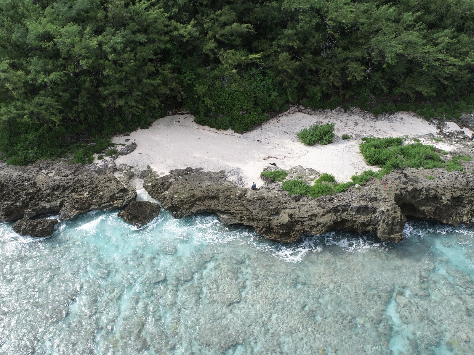 Oblique drone view of the HS103 coast, with shallow turquoise reef flat, jagged dark limestone, a pale pocket beach, dense forest, one fieldworker, and a red tripod.