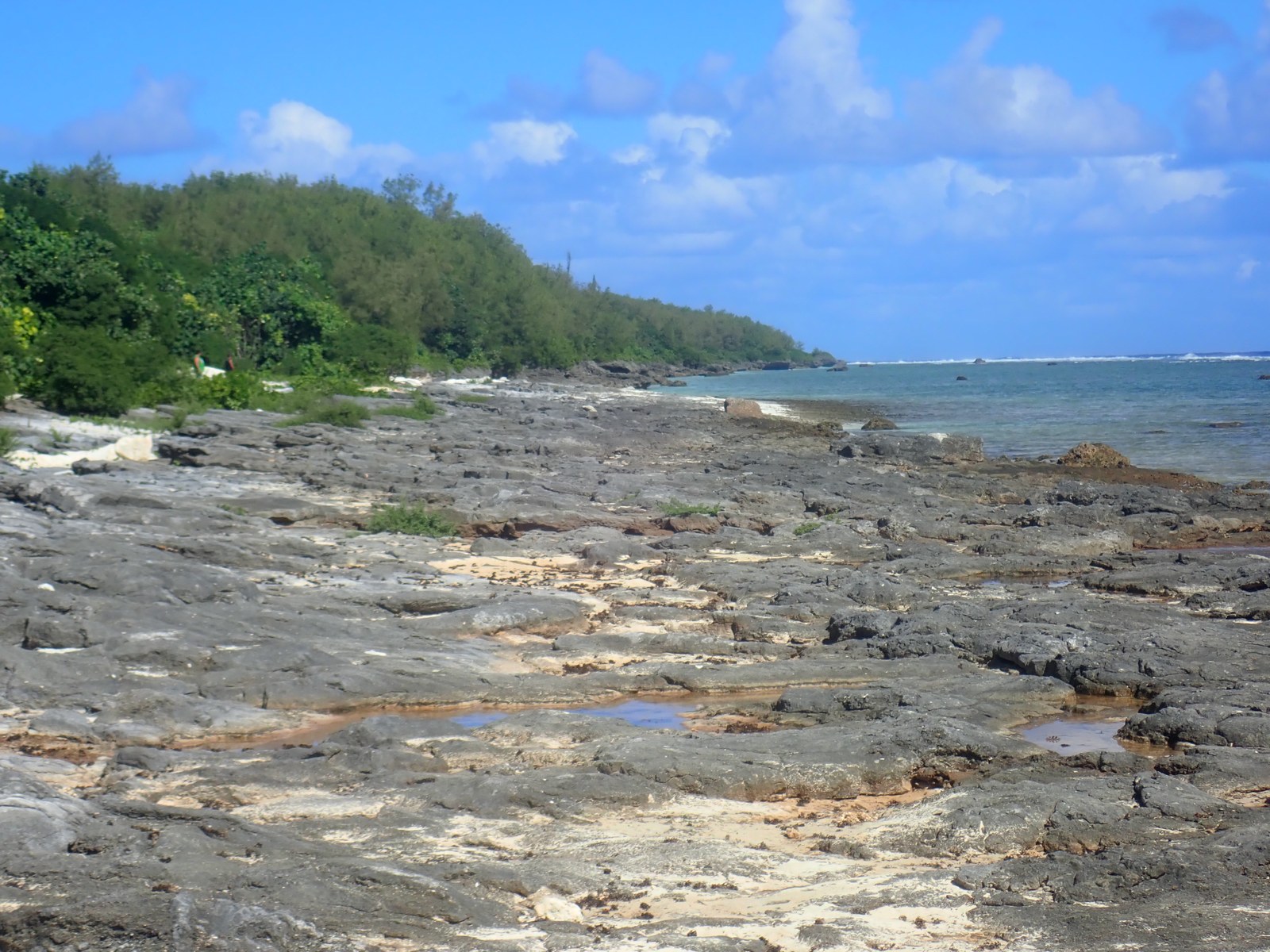 Wide southward coastal view of dark reef-flat rock with shallow pools and pale sand patches, dense green vegetation at left, and blue water at right.