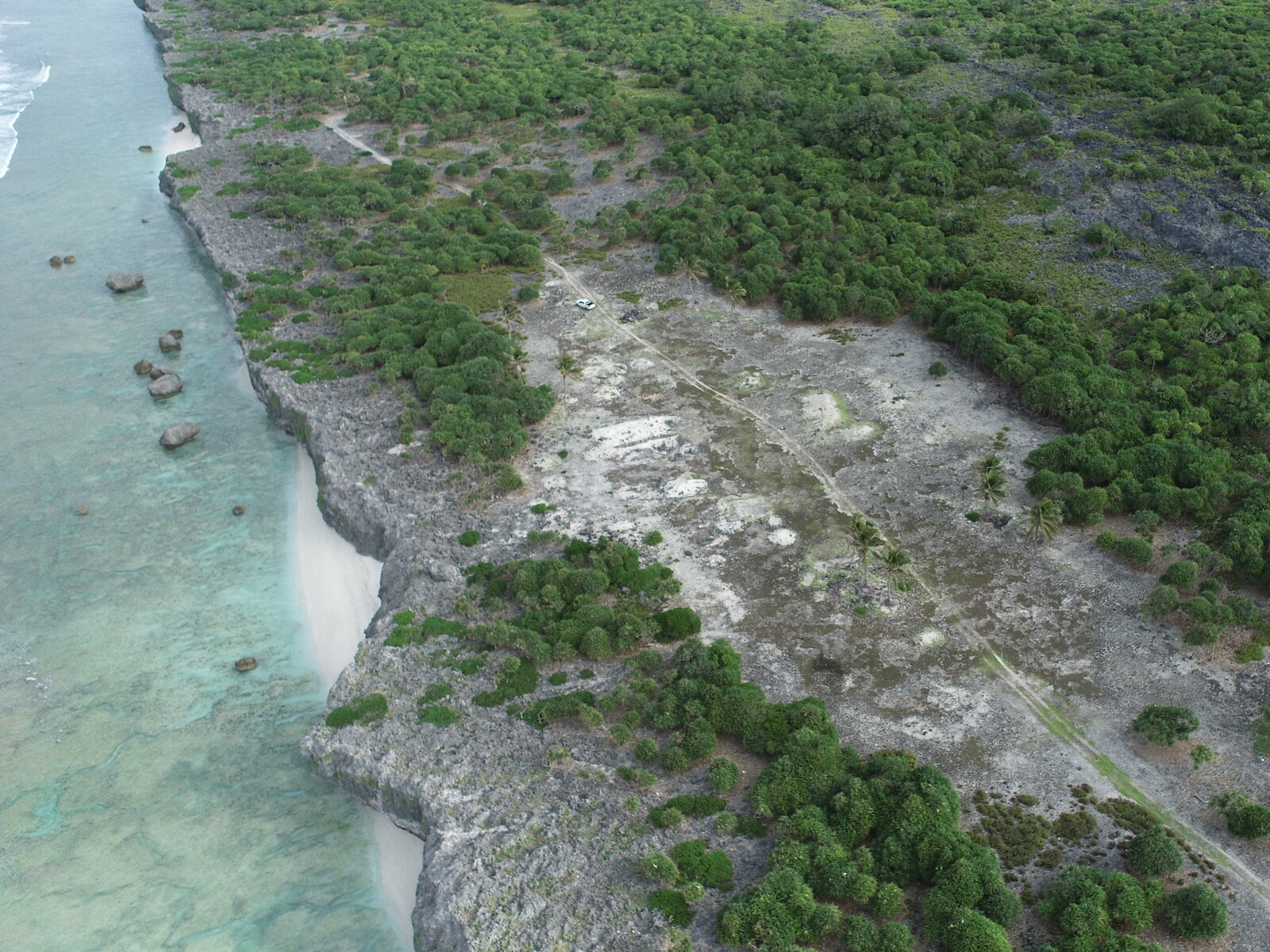 Low oblique drone view across shallow turquoise water, a low coastal cliff, a broad cleared limestone transect crossed by an access track, and vegetated inland limestone at HS115.