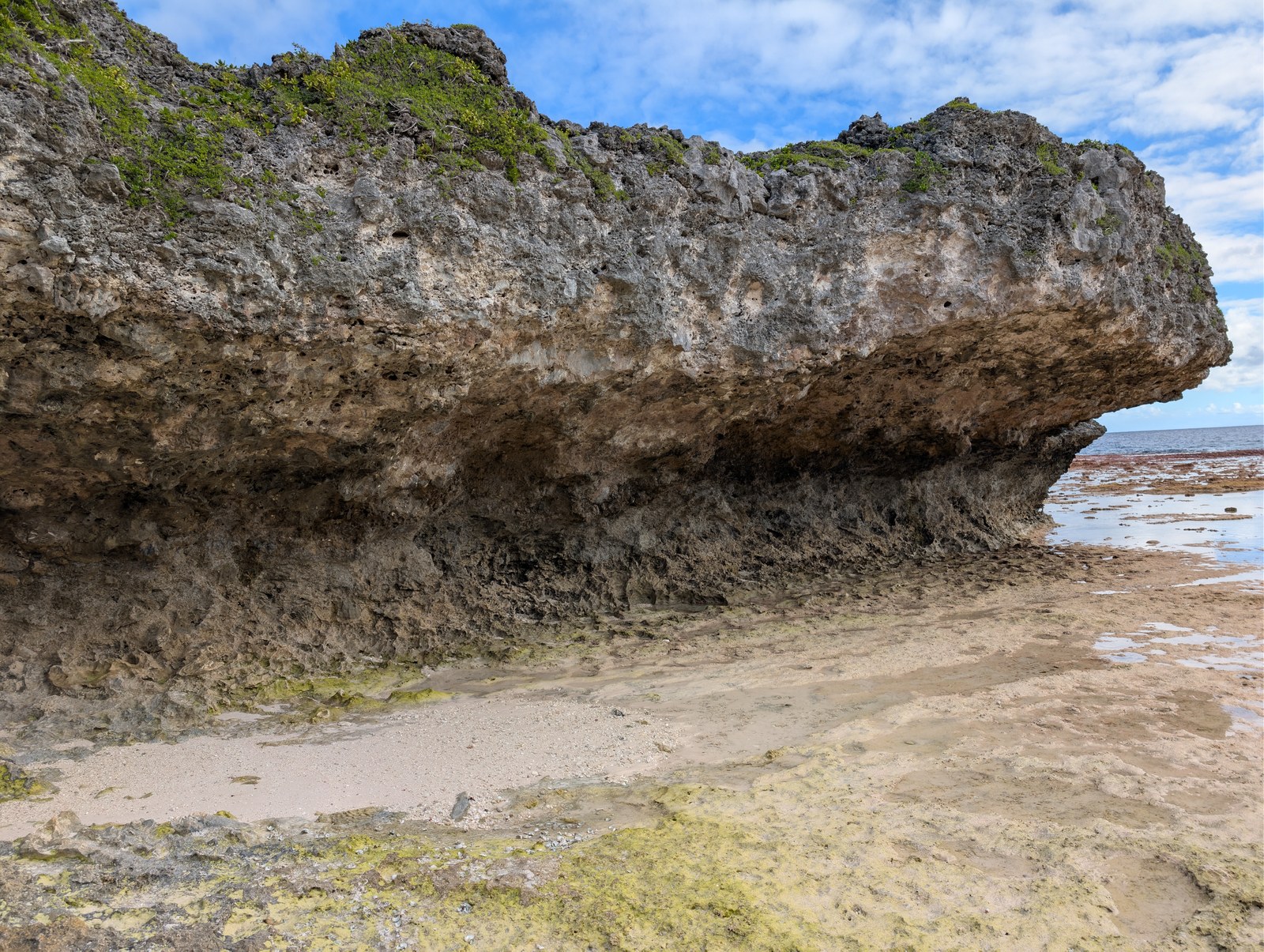 Broad side view of an undercut reef-limestone wall at Uriaata, with vegetation above, the exposed reef flat in front, and open ocean at right.