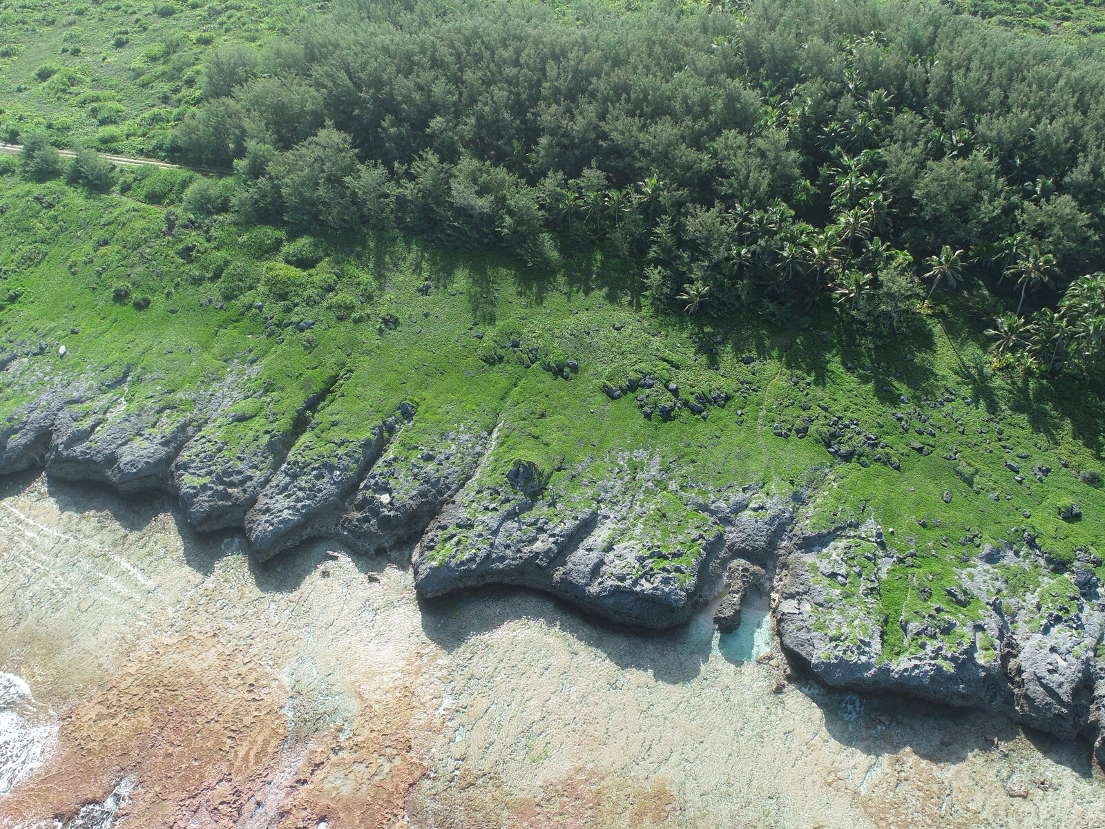 Low-oblique drone view of jagged coastal spurs, a wave-washed reef flat, green vegetation, and a forest-lined road at HS122 Teunu.