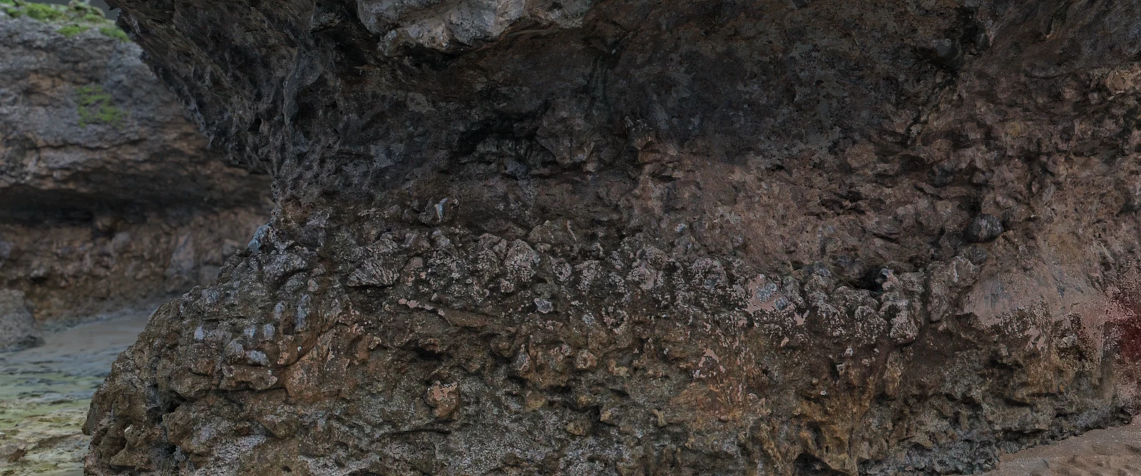 Close view of the coral-rich HS123 outcrop rendered from the textured photogrammetric model.