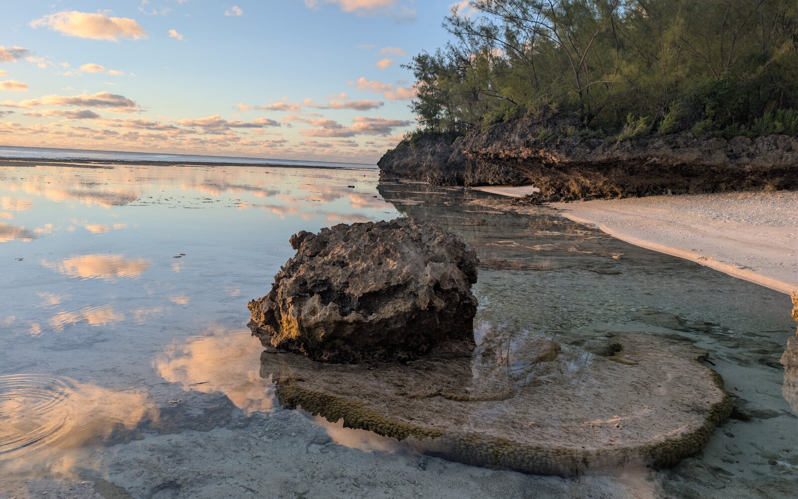 Calm shallow back-reef water beside a pale pocket beach and a low vegetated limestone cliff at sunset.