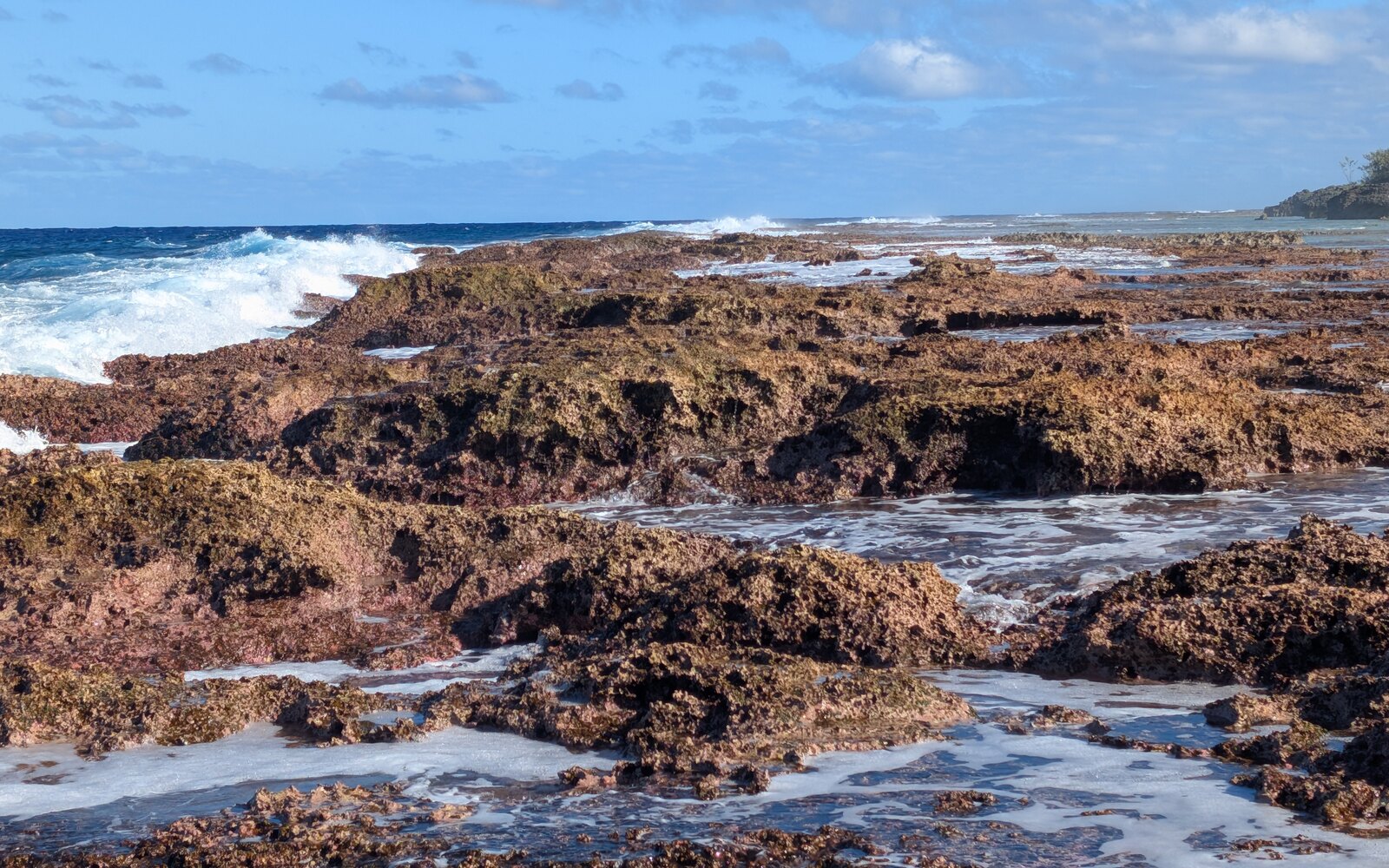 Low view across a wave-washed modern reef flat with rough red-brown calcareous surfaces and shallow pools.