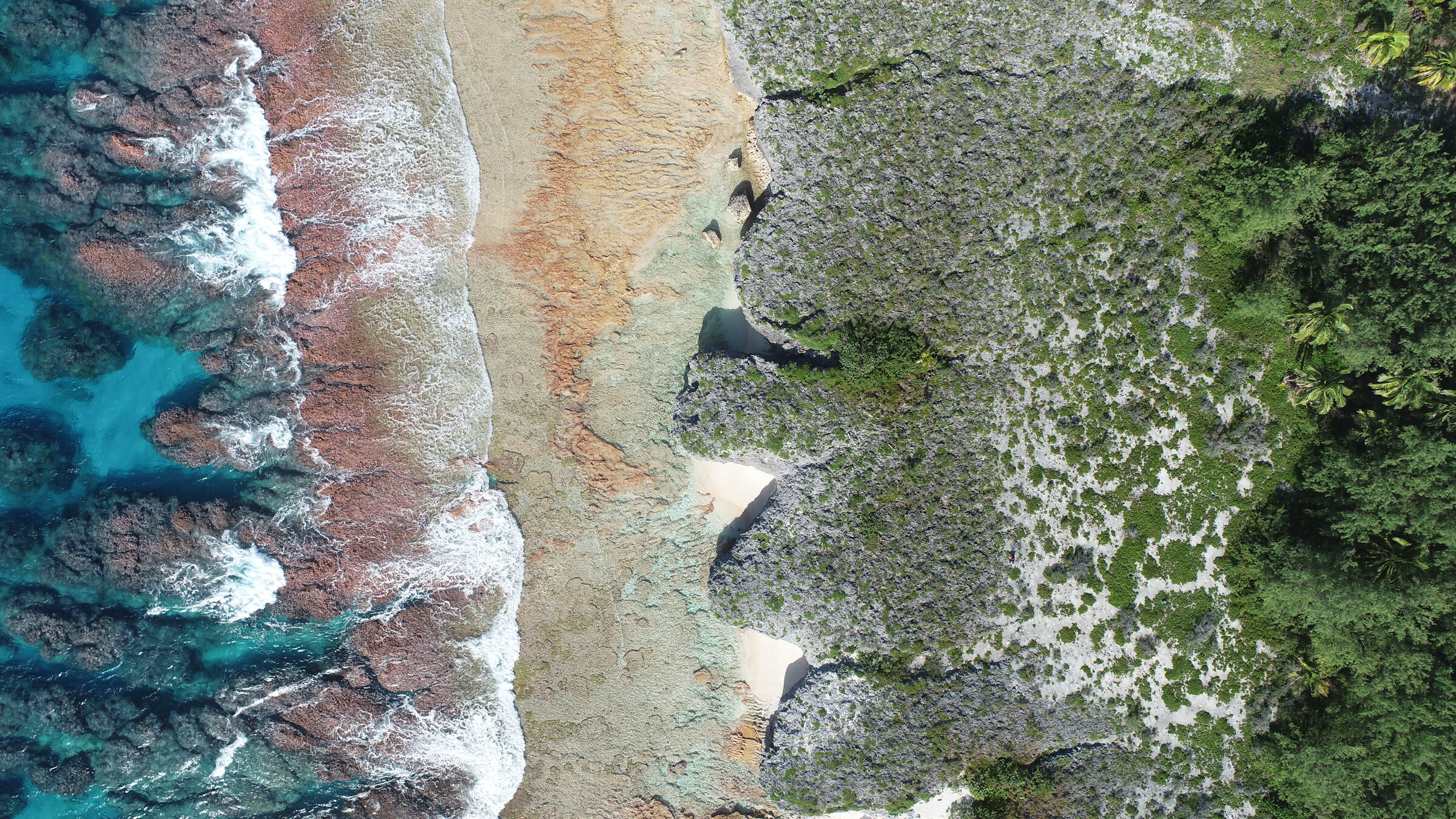 Vertical drone view from deep blue ocean across breaking waves, the shallow living reef, a pale beach, raised limestone, and dense forest.