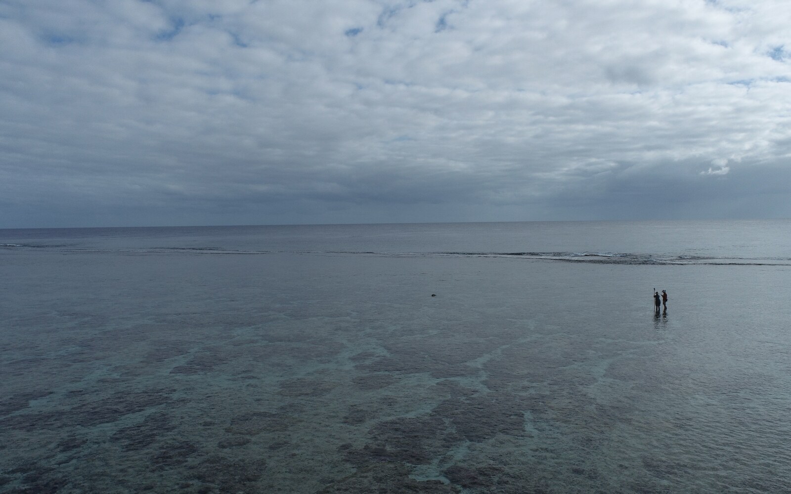 Low drone view across a shallow reef flat toward a cloudy ocean horizon, with two field team members standing in water near the right side.
